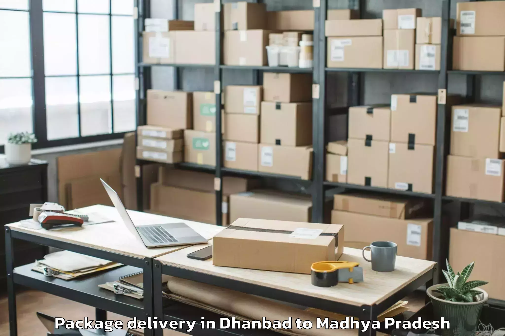 Trusted Dhanbad to Morena Package Delivery